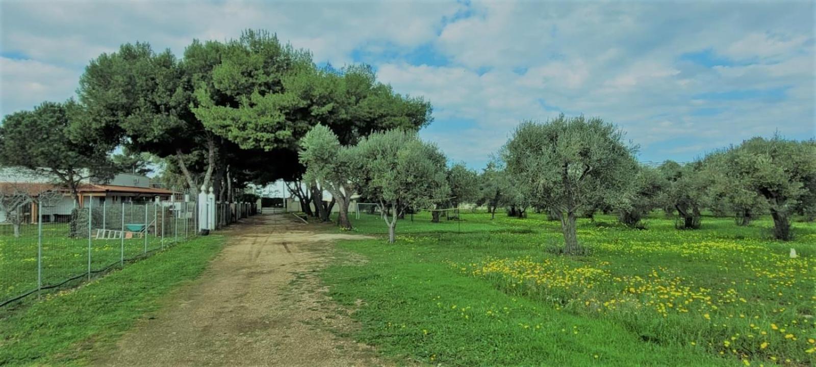 Villa Laura 바리 외부 사진
