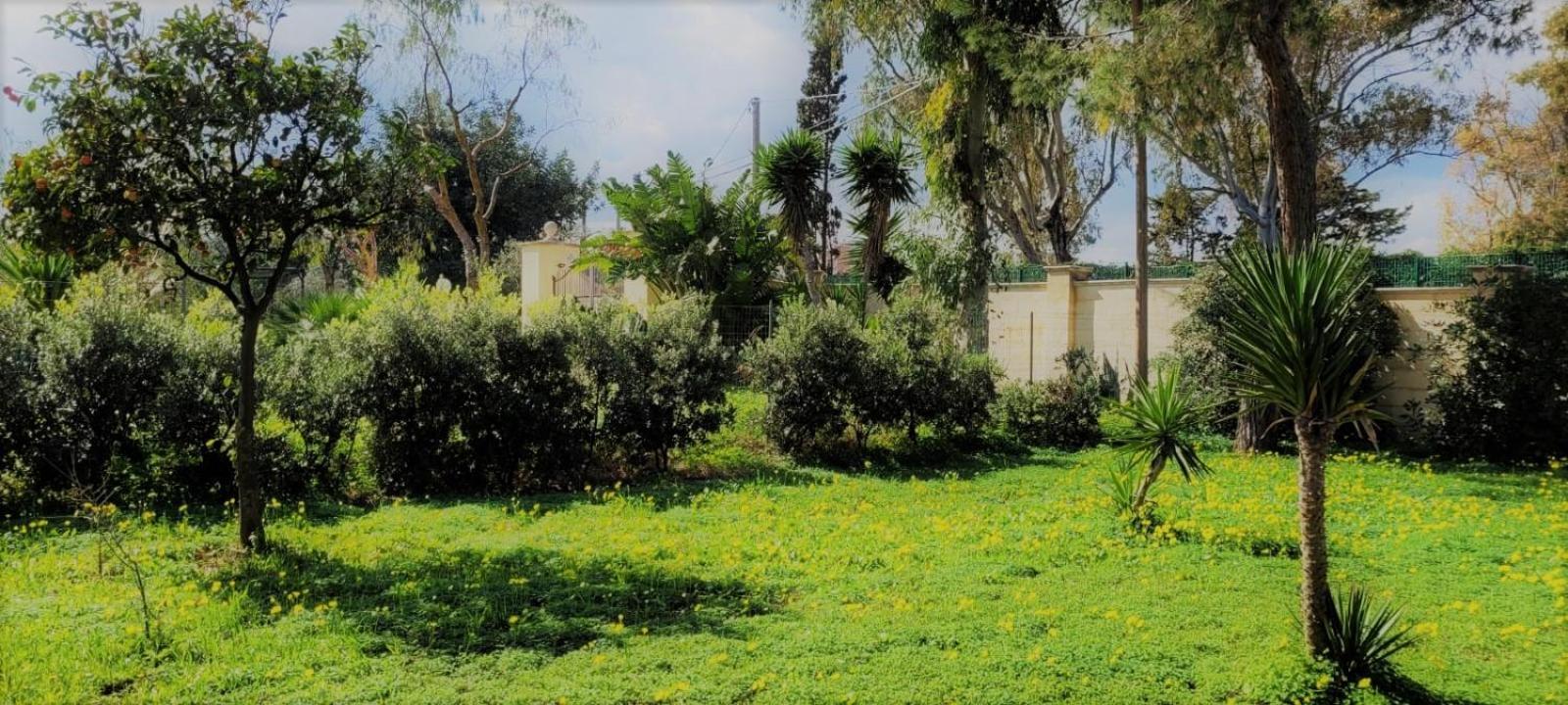 Villa Laura 바리 외부 사진