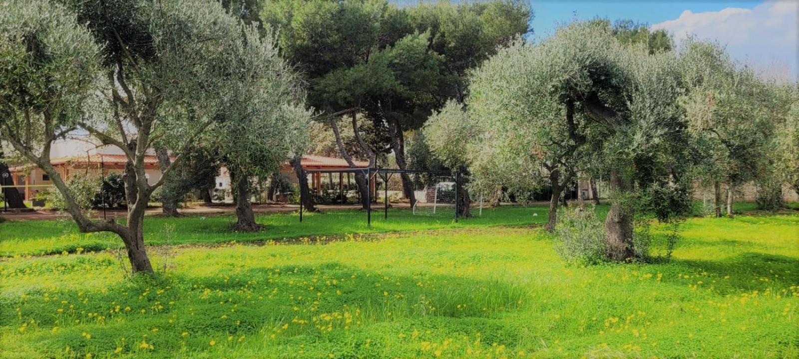 Villa Laura 바리 외부 사진